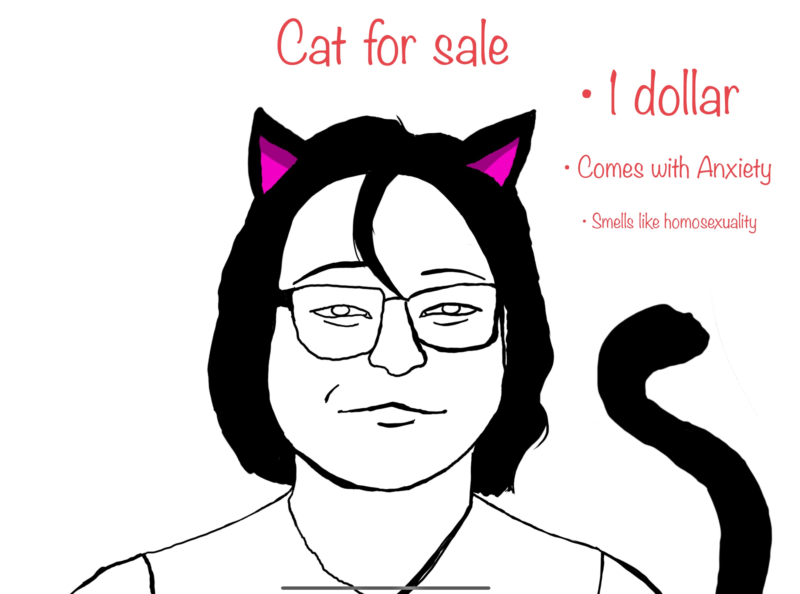 A drawing of a catperson with glasses. It says "cat for sale / 1 dollar / comes with Anxiety / smells like homosexuality"