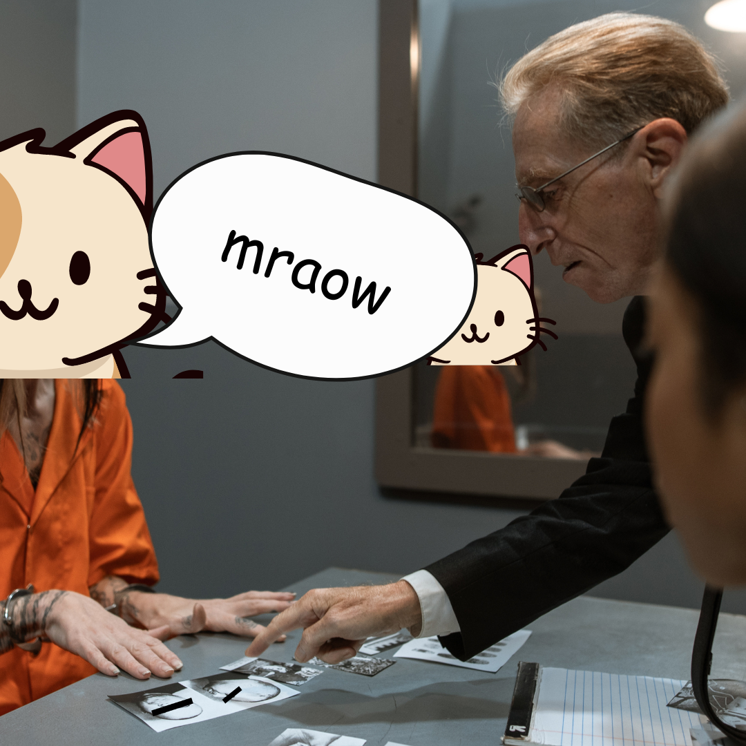 A photograph of a prisoner in an orange jumpsuit, with a cartoonish cat face edited over his head.