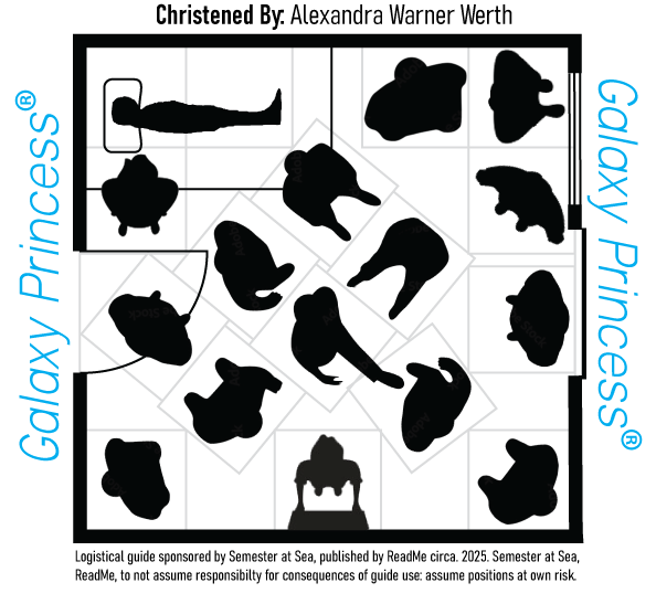A diagram of a cruise ship cabin with 16 silhoettes of people packed in in various uncomfortable configurations.