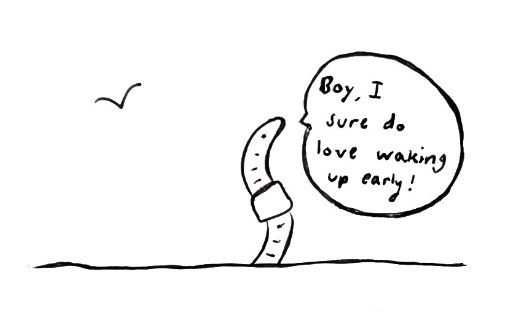 A sketch of a worm saying "boy, I sure do love getting up early!", with a bird flying toward it in the background.
